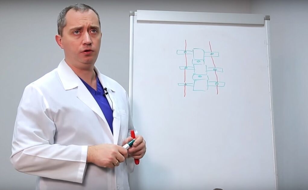 Доктор показује структуру кичме